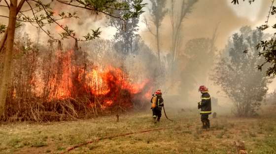 Defensa Civil sofocó un incendio en el predio ex Pereyra Rozas